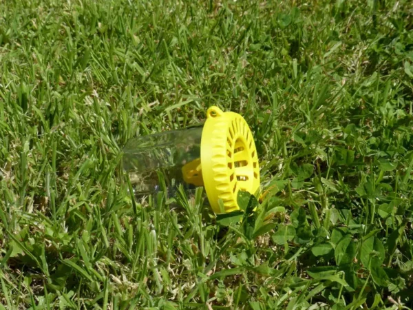 Piège à frelon OkyBee jaune posé dans l'herbe verte