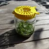 Piège à frelon OkyBee avec appât naturel dans un bocal en verre