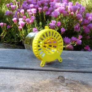 Piège à frelon OkyBee jaune posé sur une table en bois avec des fleurs roses en arrière-plan