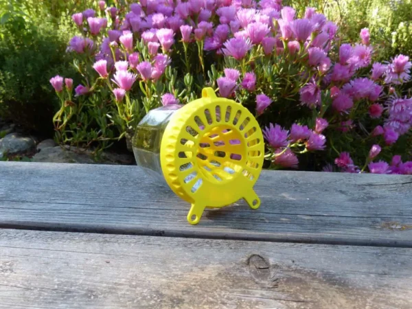 Piège à frelon OkyBee jaune posé sur une table en bois avec des fleurs roses en arrière-plan