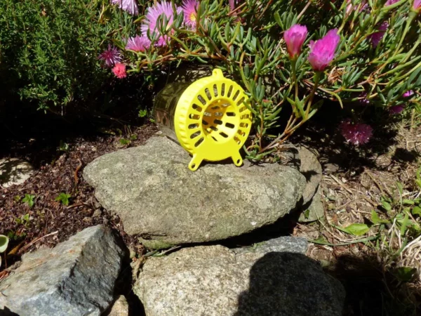 Piège à frelon OkyBee jaune posé sur des rochers avec des fleurs roses en arrière-plan