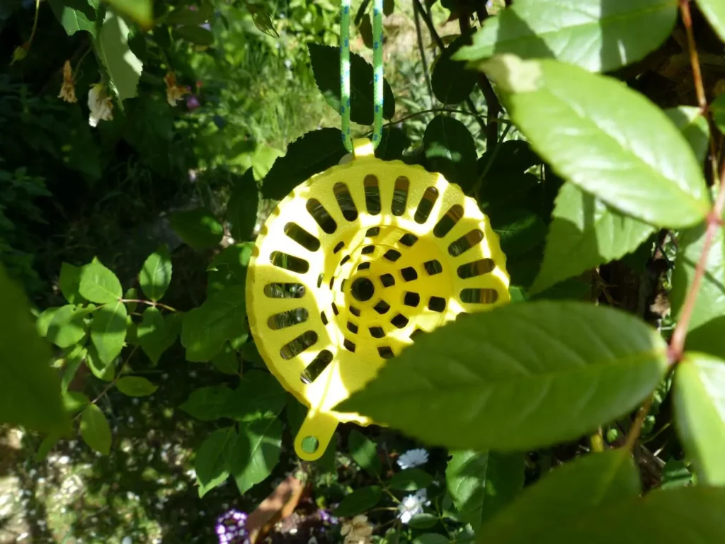 Piège à frelon OkyBee suspendu dans un arbre avec des feuilles vertes autour